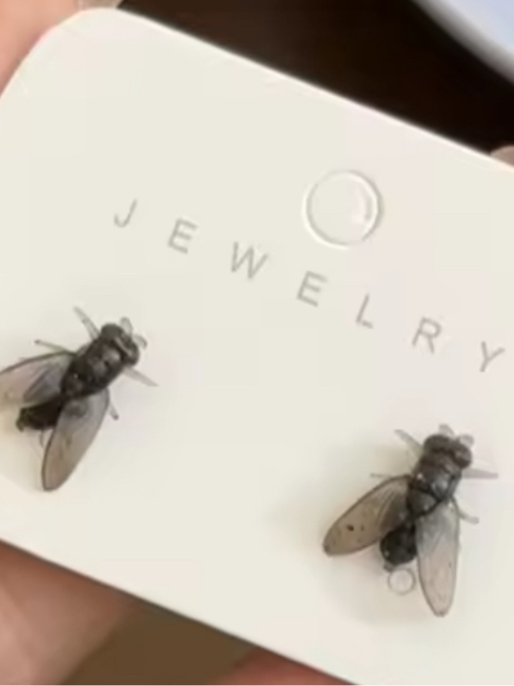 Black Fly Stud Earrings - Jewelry Brand